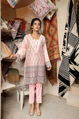 Blush - Embroidered Chikankari Stitched Kurti