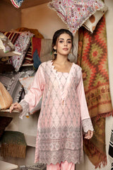 Blush - Embroidered Chikankari Stitched Kurti