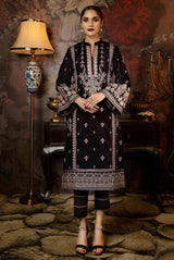 Driss - Embroidered Velvet 2PC Stitched